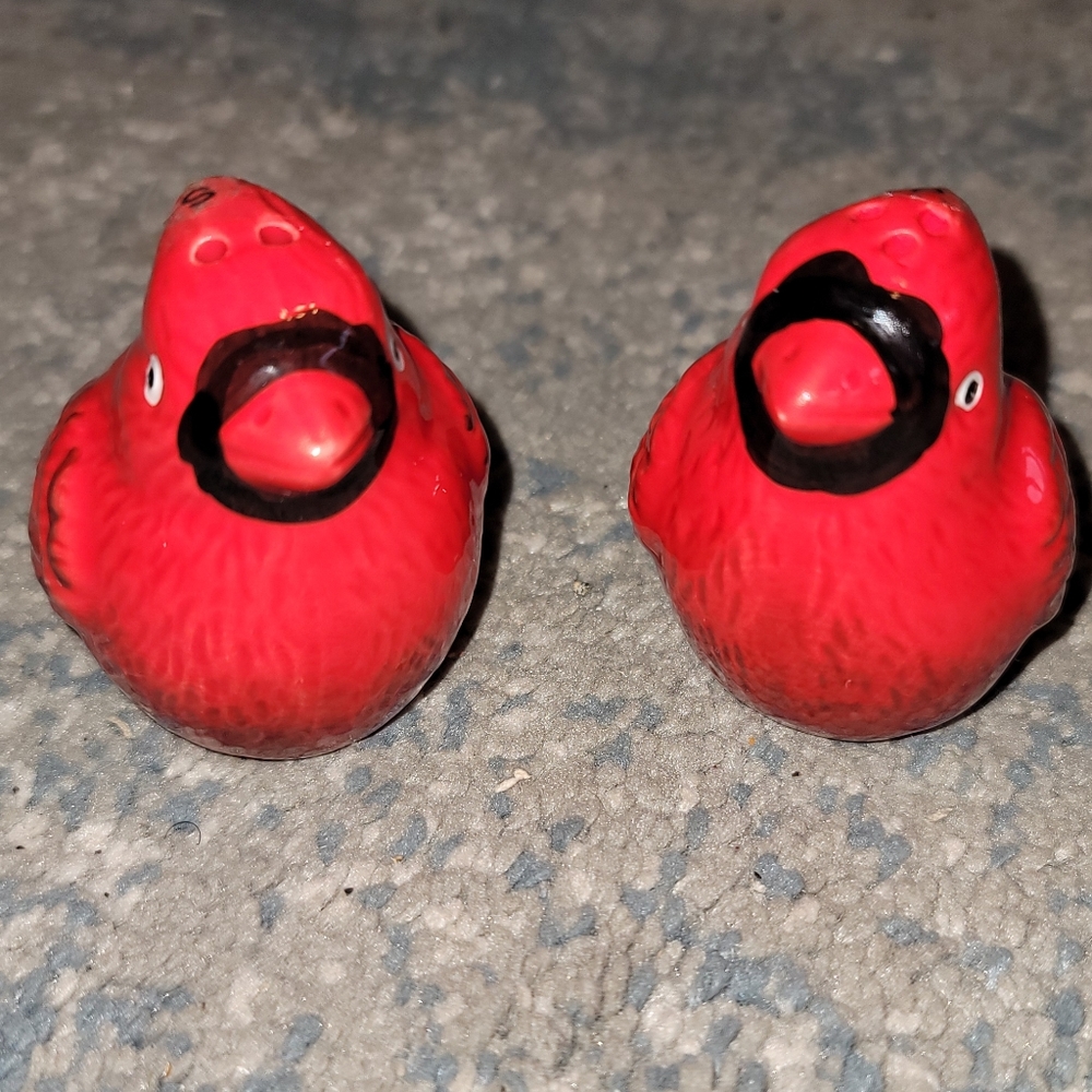 Pier 1 Ceramic Cardinal Salt & Pepper Shaker Set